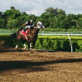 伝説の名馬！オグリキャップの軌跡