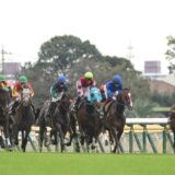 【競馬】ワイドとは?特徴やワイド買いのメリット・デメリットを解説