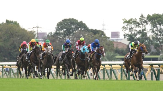 【競馬】ワイドとは？特徴やワイド買いのメリット・デメリットを解説