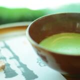 表千家と裏千家の関係や格式の違いを徹底解説！作法はどう違う？