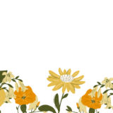 『団地のふたり』のロケ地はどこ？ドラマのあらすじも紹介！